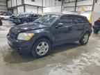 2008 DODGE Caliber