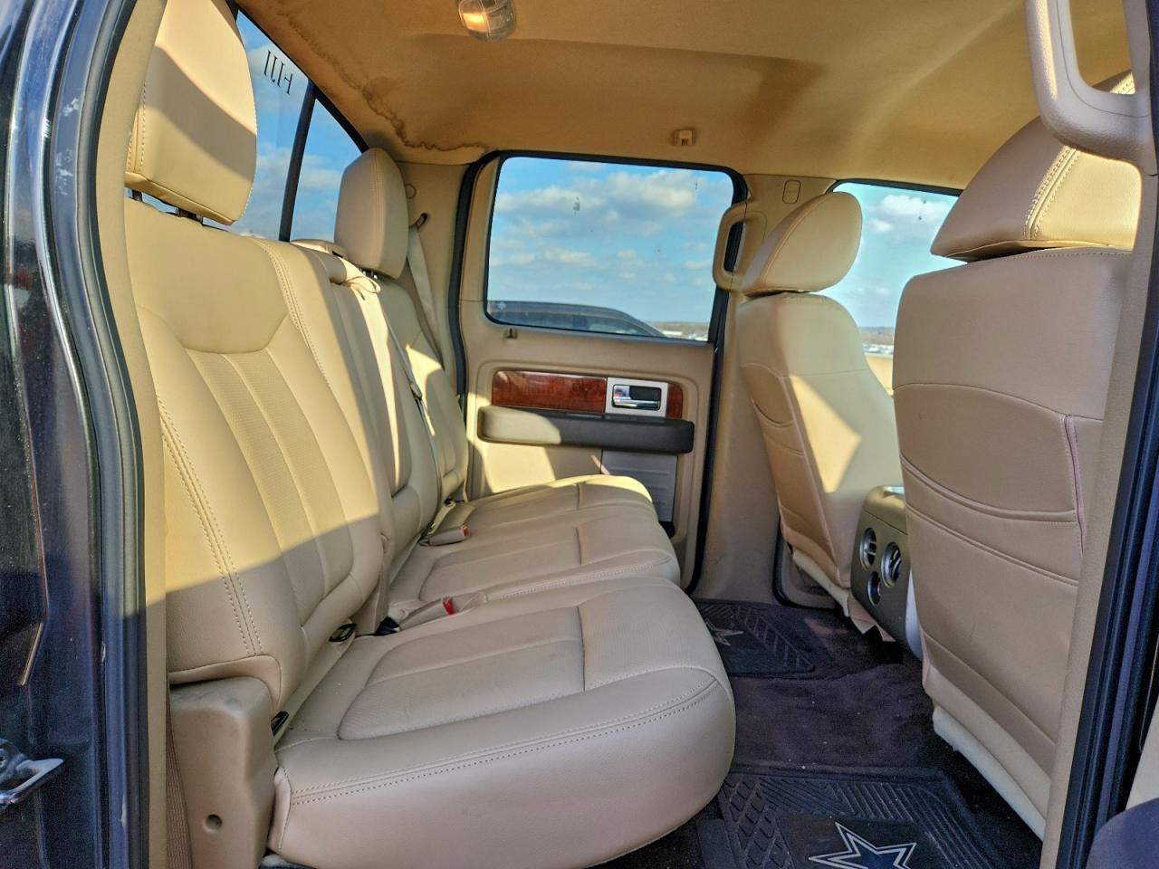 2010 FORD F-150 Lightning