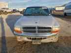 1999 DODGE Dakota
