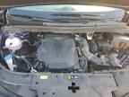 2025 KIA Carnival