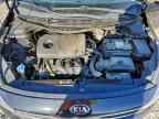 2018 KIA RIO