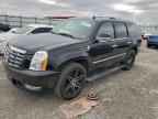 2010 CADILLAC ESCALADE