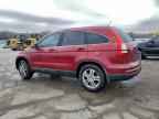 2010 HONDA CR-V