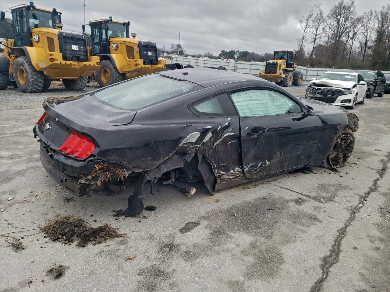 2019 FORD MUSTANG