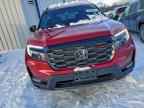 2022 HONDA Passport