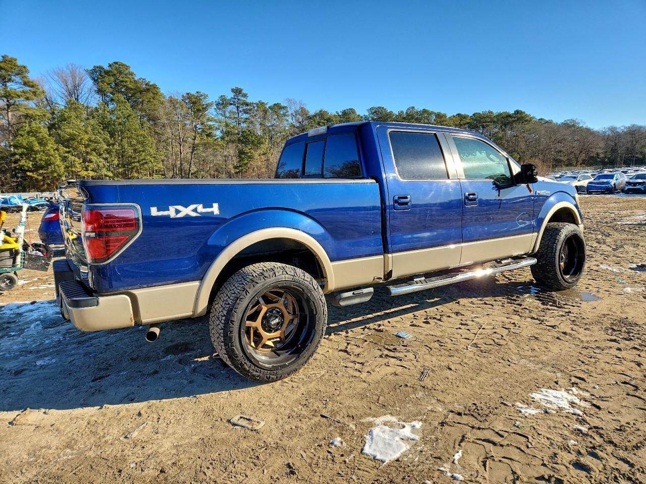 2009 FORD F-150