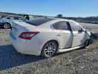 2011 NISSAN Maxima