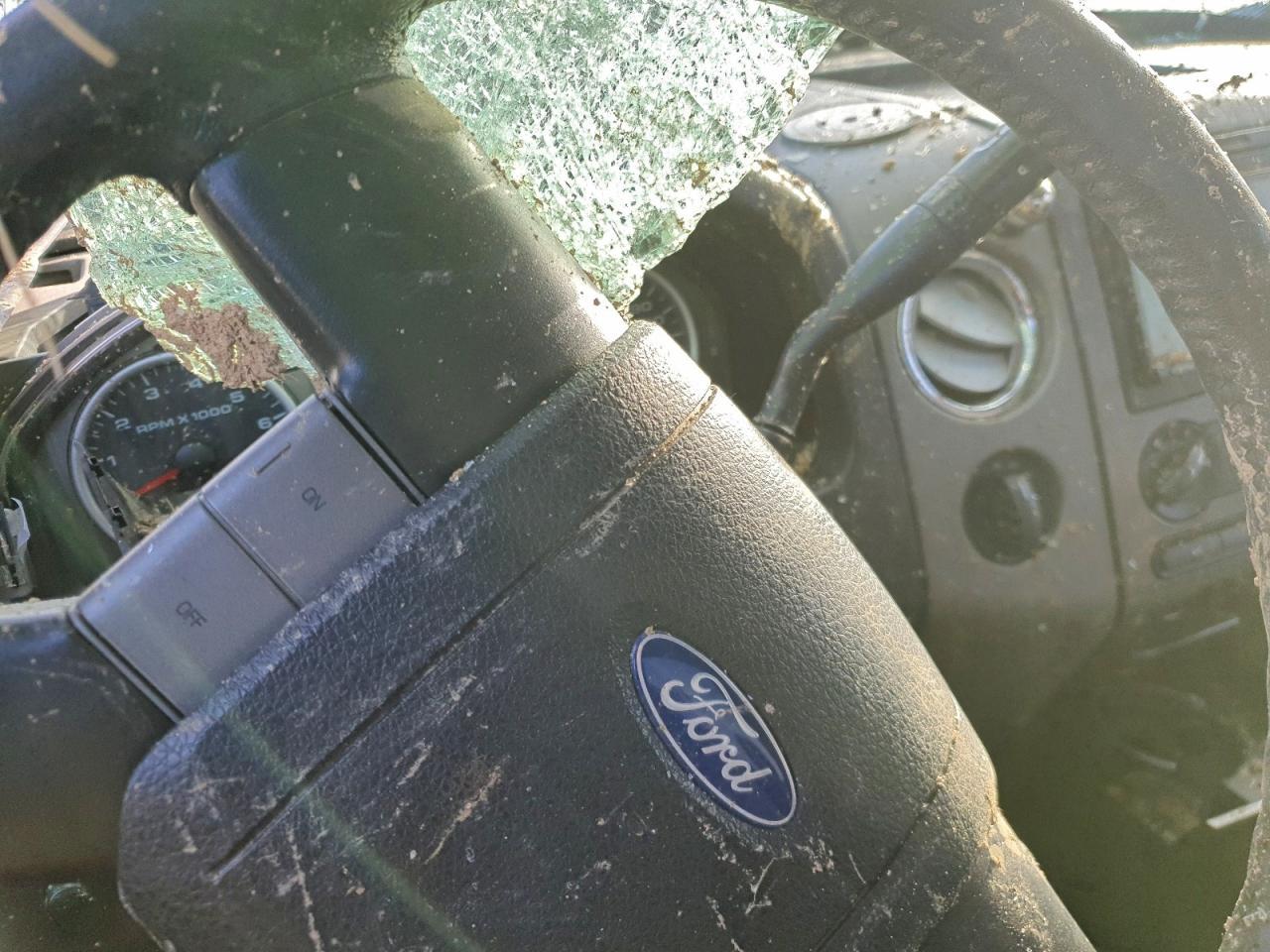 2006 FORD F-150