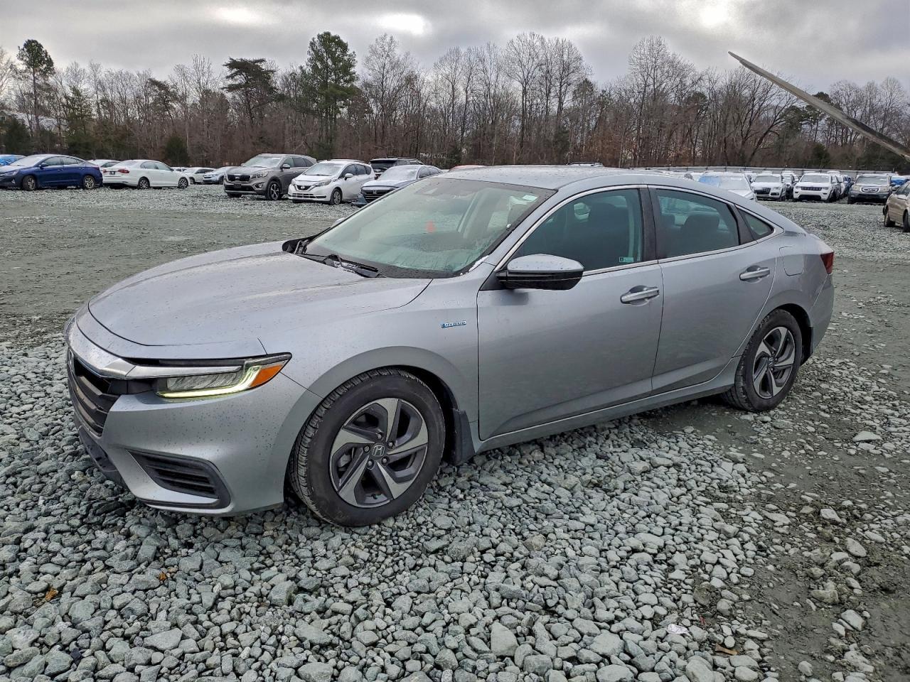 2019 HONDA Insight