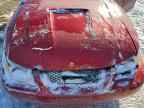 2000 FORD MUSTANG