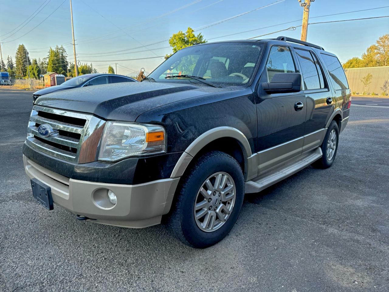 2010 FORD Expedition
