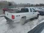 2005 DODGE Dakota