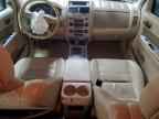 2010 FORD ESCAPE