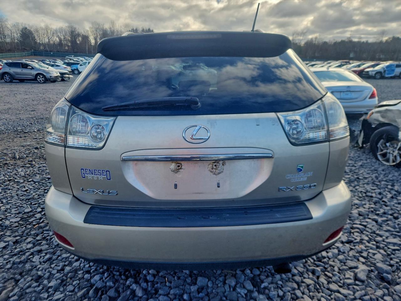 2004 LEXUS Rx 330