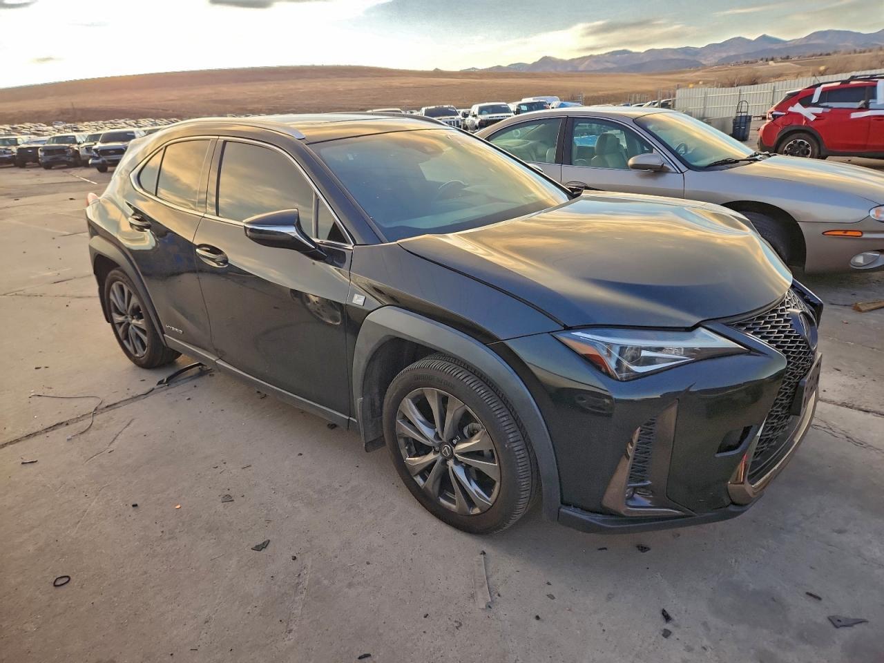 2019 LEXUS UX 250H