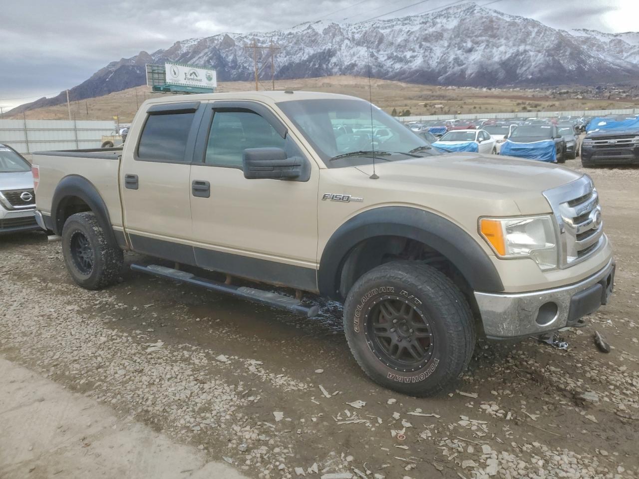 2009 FORD F-150