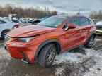 2020 LEXUS NX 300