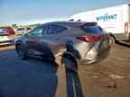 2025 LEXUS NX 250