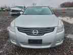 2010 NISSAN ALTIMA