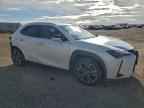 2021 LEXUS UX 200