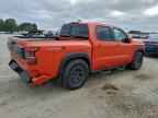 2025 NISSAN Frontier