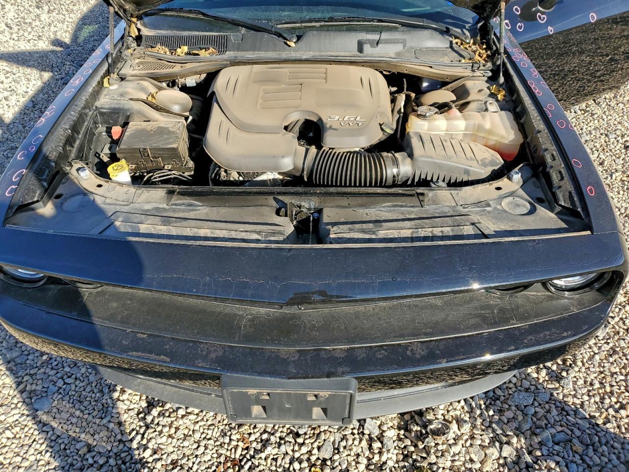 2021 DODGE Challenger