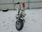 2006 HARLEY-DAVIDSON FLSTCI