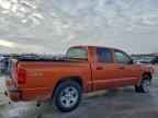 2010 DODGE Dakota