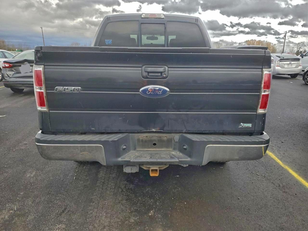 2010 FORD F-150