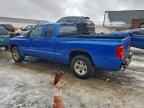 2008 DODGE Dakota