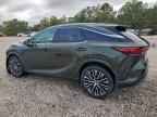 2025 LEXUS RX 350H