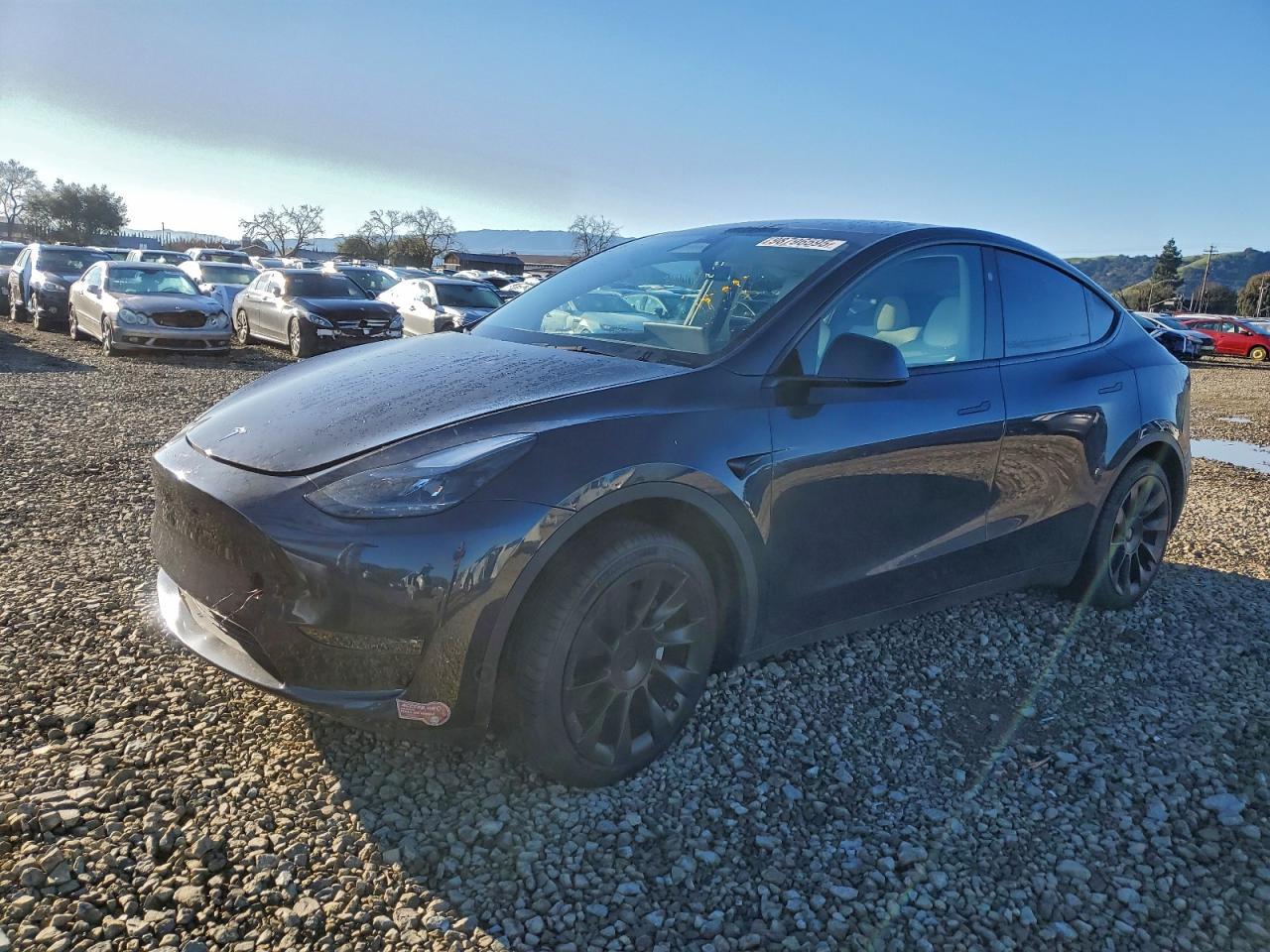 2024 TESLA MODEL Y