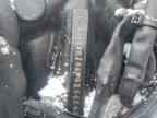 2006 HARLEY-DAVIDSON FLSTCI