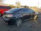 2010 LEXUS HS 250h