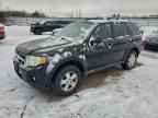 2010 FORD ESCAPE