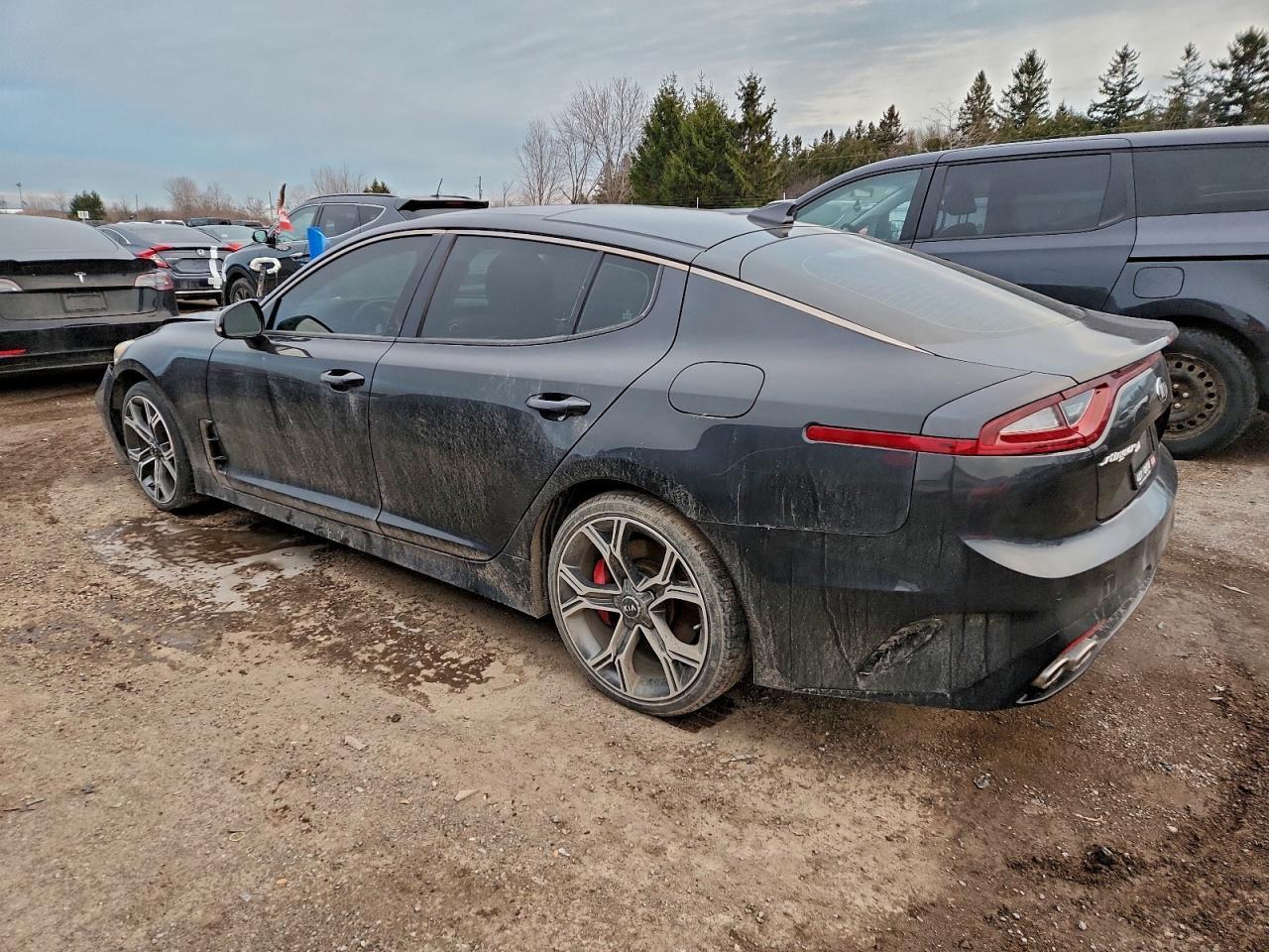 2019 KIA Stinger
