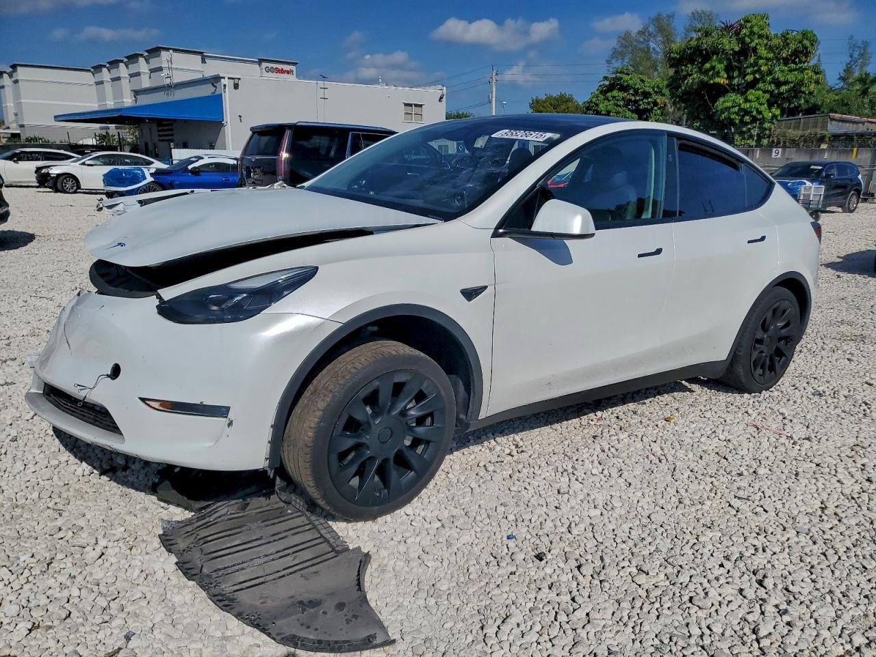 2024 TESLA MODEL Y
