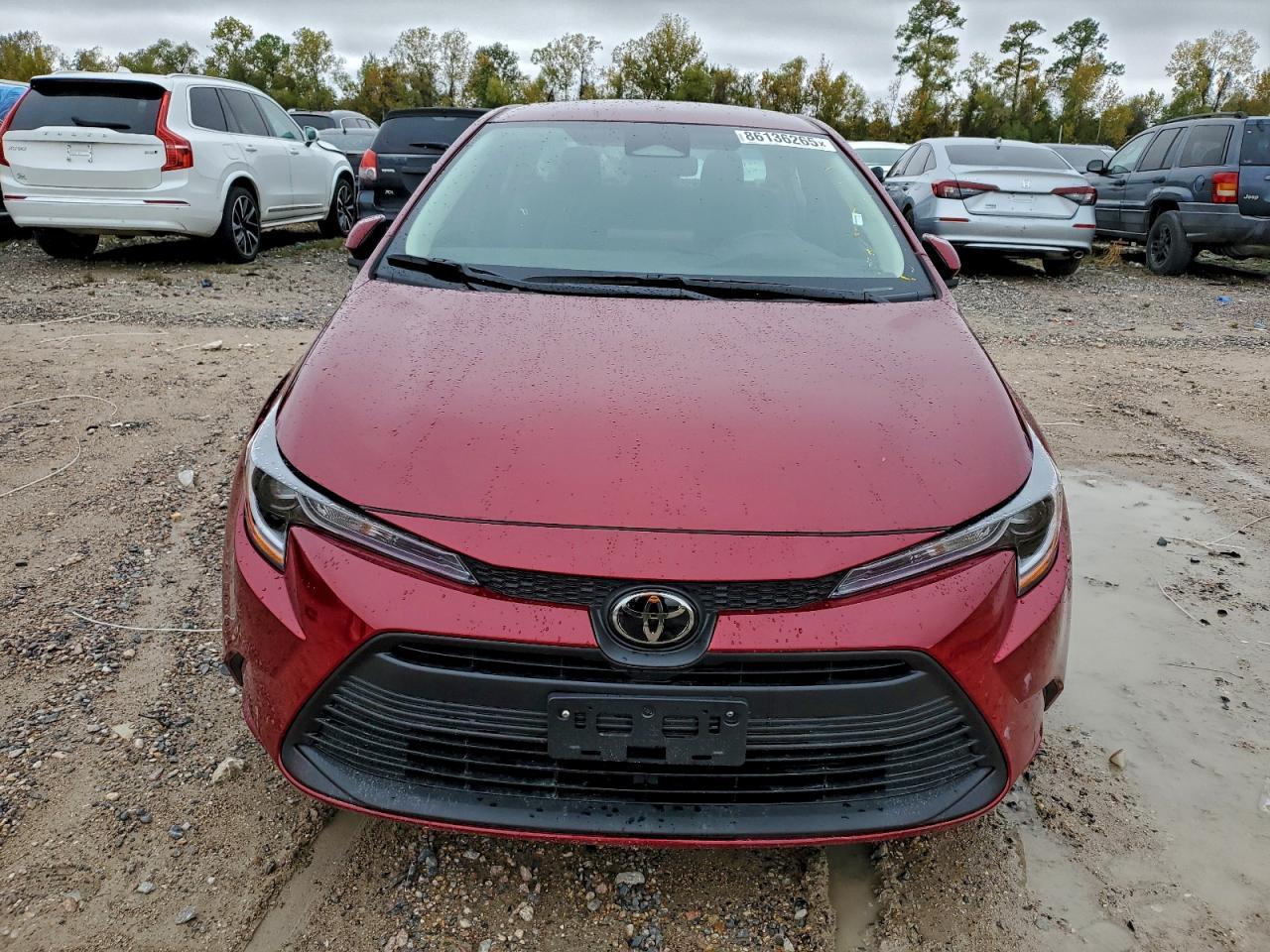 2025 TOYOTA COROLLA