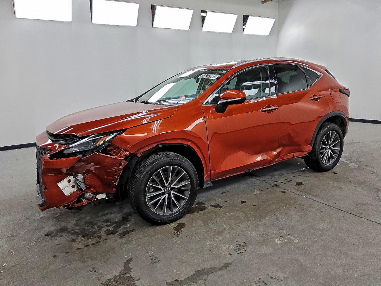 2023 LEXUS NX 250