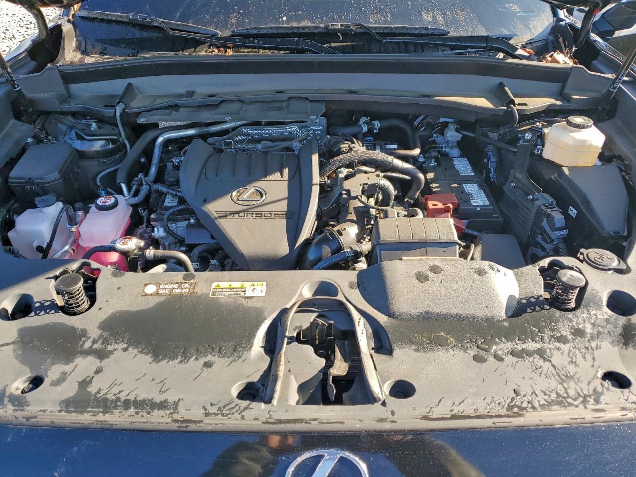 2024 LEXUS TX 350