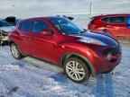 2011 NISSAN Juke