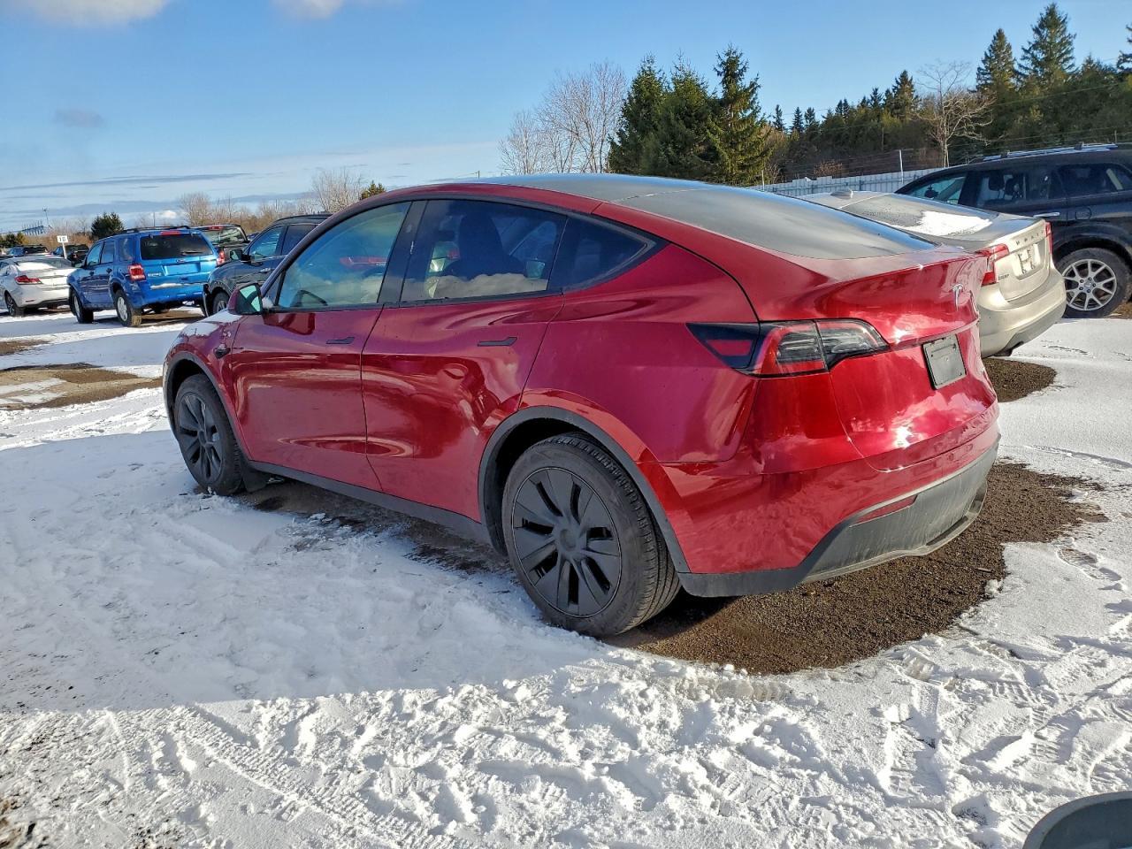 2025 TESLA MODEL Y