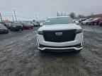2023 CADILLAC ESCALADE
