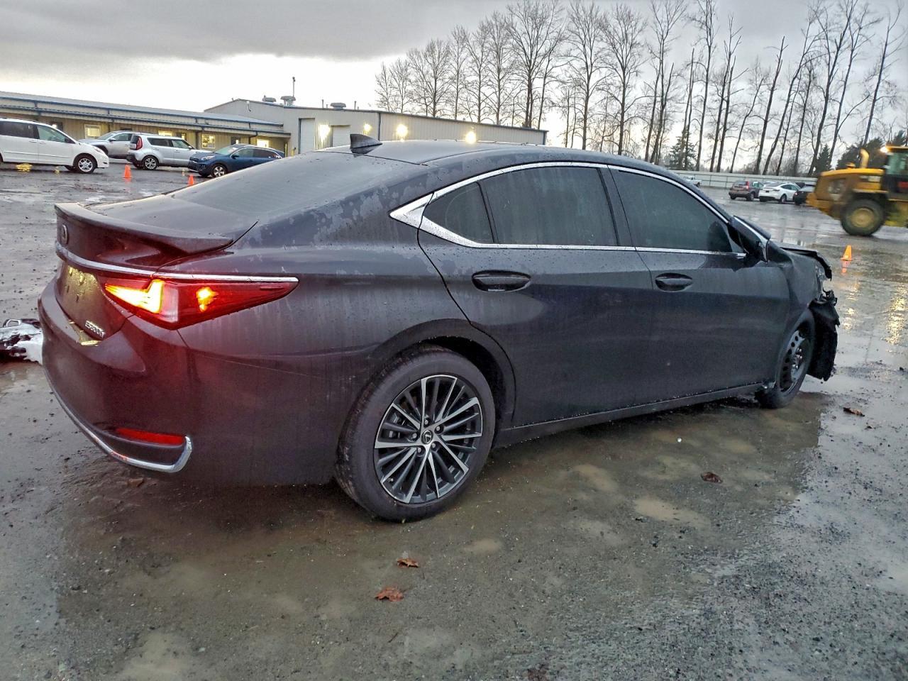 2025 LEXUS ES 300H