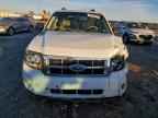 2008 FORD ESCAPE