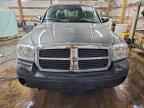 2006 DODGE Dakota