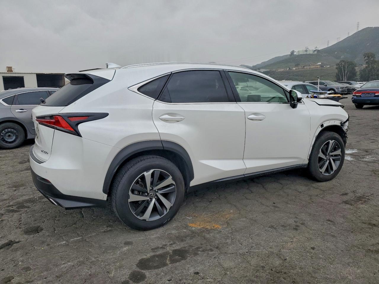 2020 LEXUS NX 300