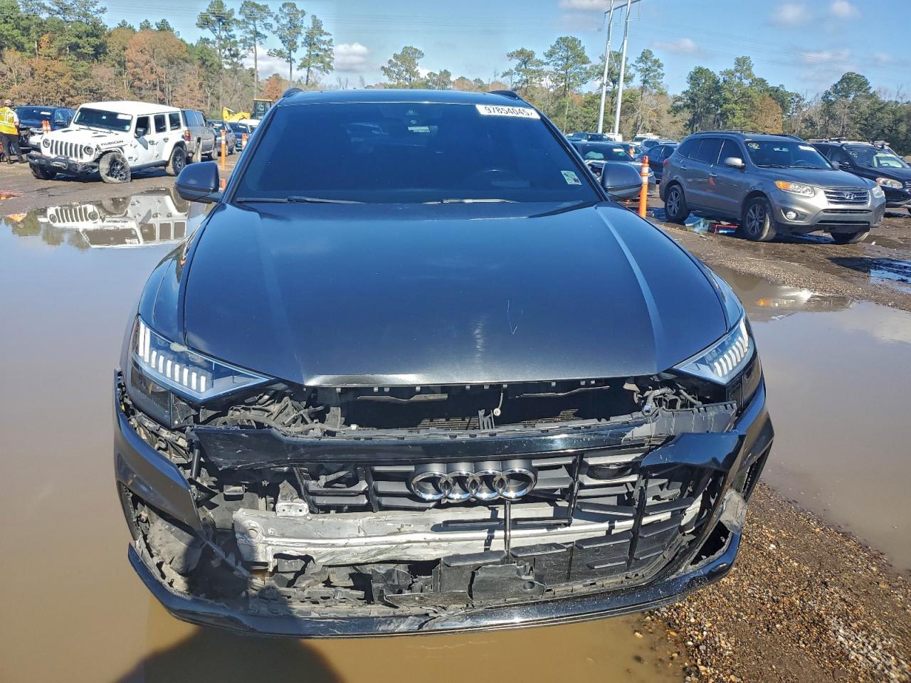 2019 AUDI Q8