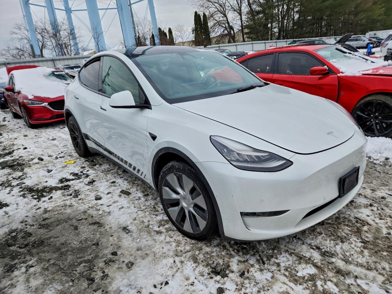 2021 TESLA MODEL Y