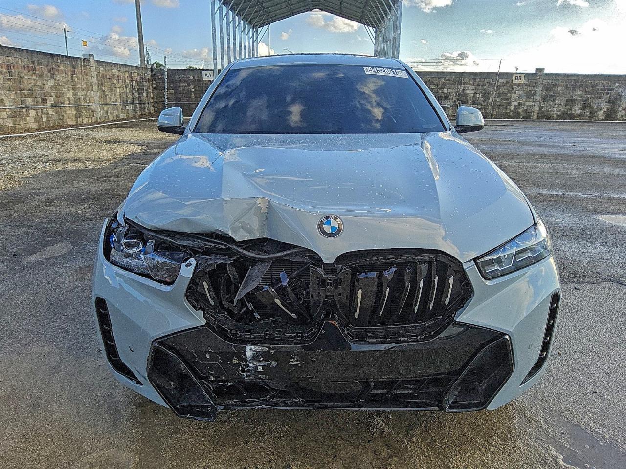 2026 BMW X6